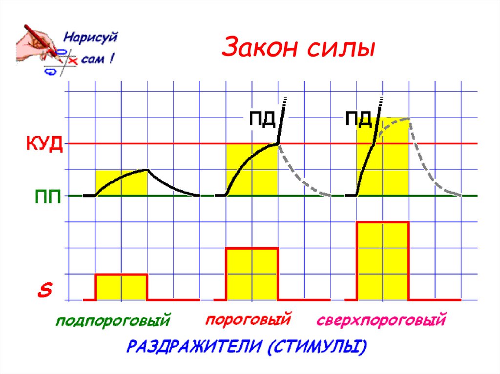 Закон сильного 3