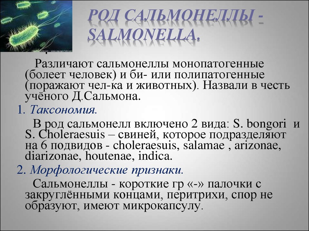 Сальмонеллез виды. Род Salmonella. Сальмонелла характеристика. Особенности сальмонелл. Сальмонелла Тип дыхания.