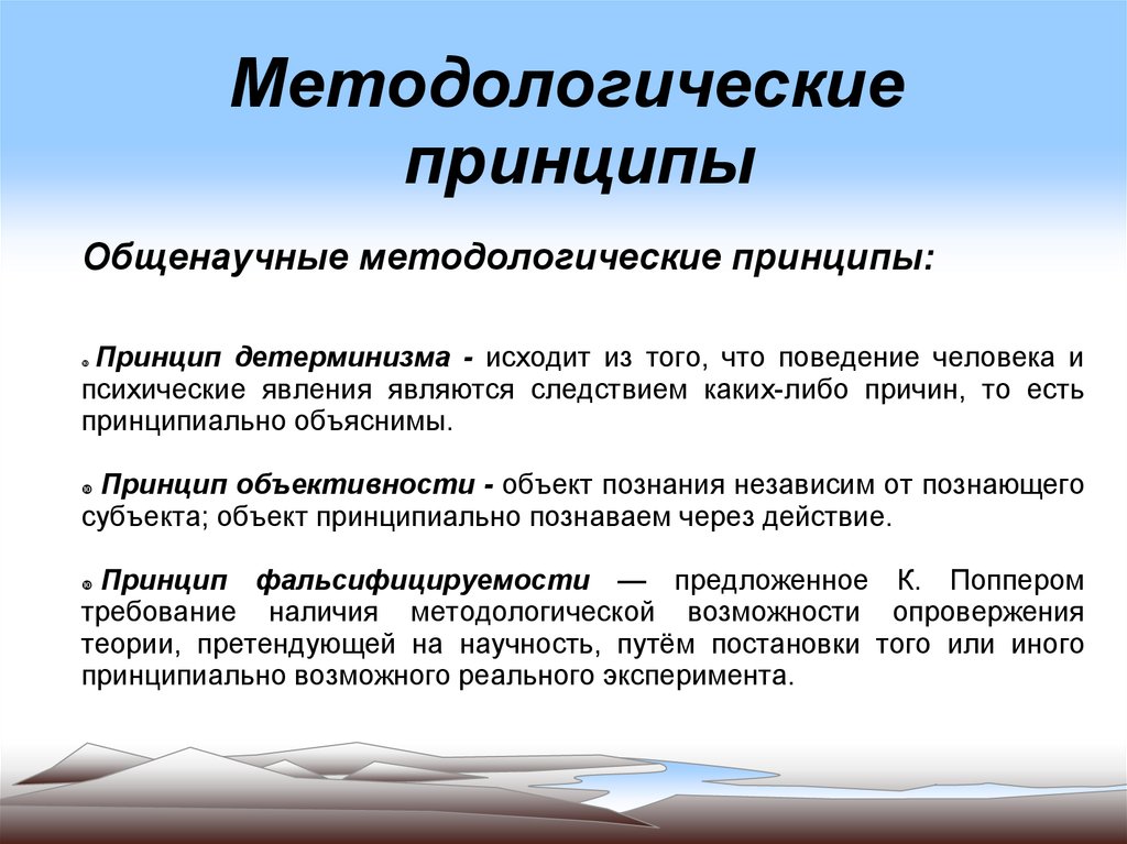 Методологические принципы. Общеметодологические принципы.