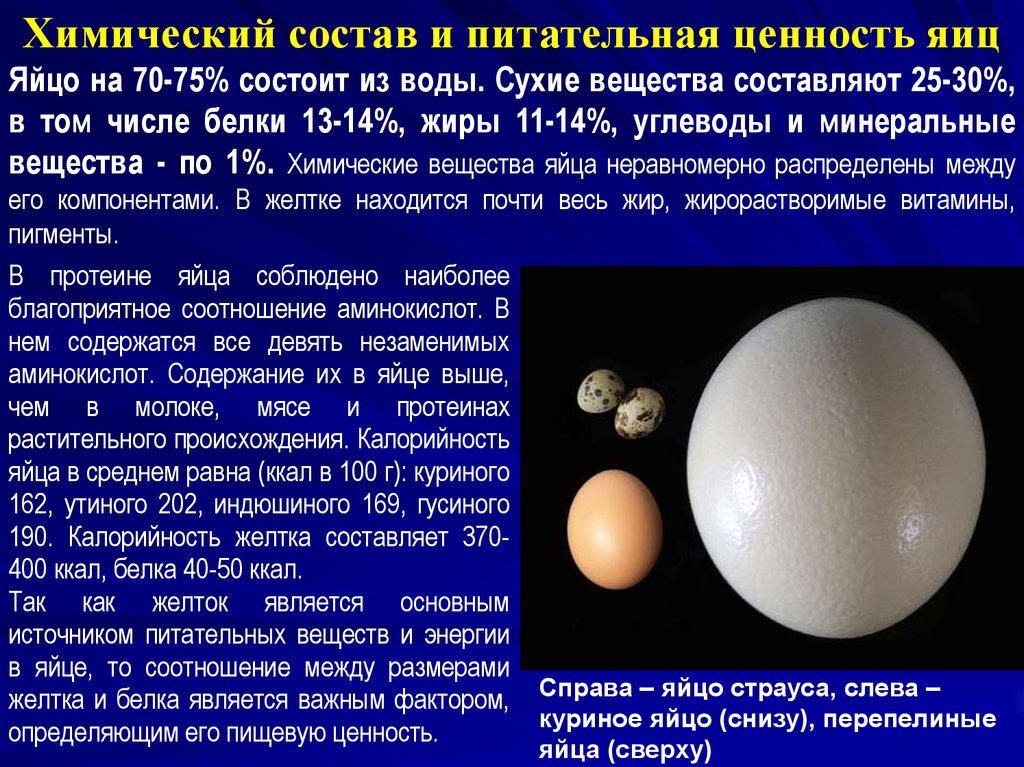 Технология производства пищевых яиц презентация