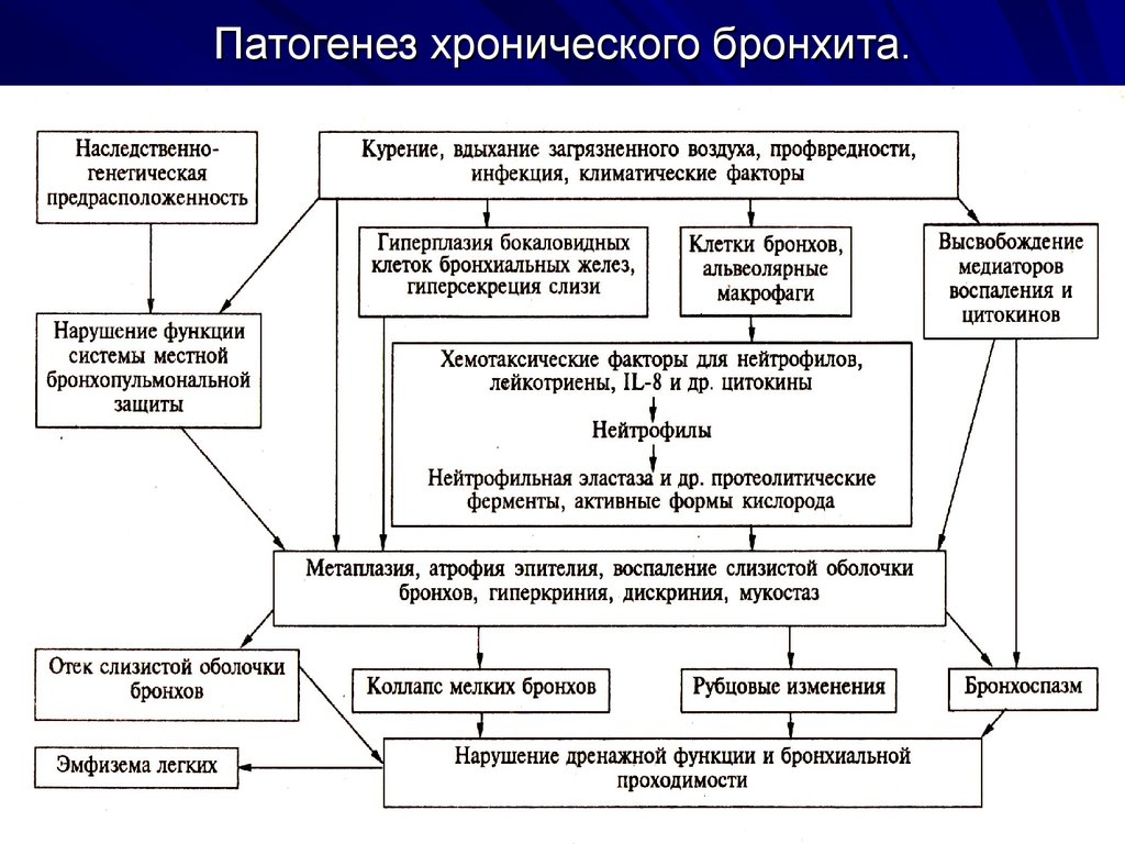 Схема бронхита