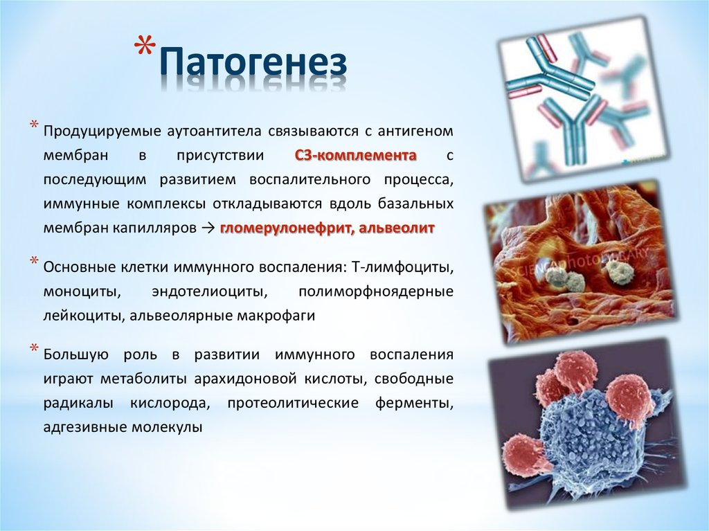 Синдром гудпасчера презентация