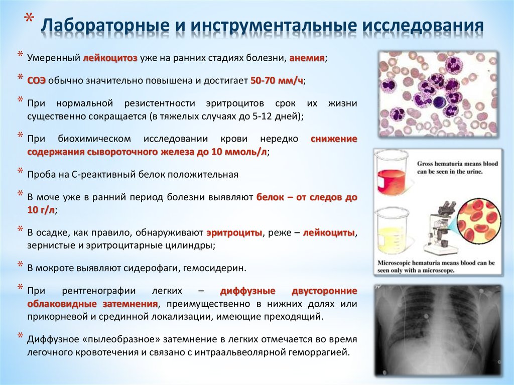 Презентация лабораторные и инструментальные методы исследования