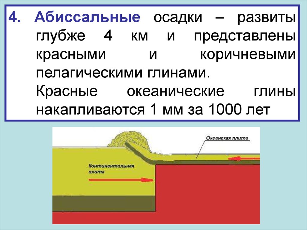 Континентальные осадки. Абиссальные осадки. Осадконакопление в морях и океанах. Абиссальные отложения. Океанические глины.