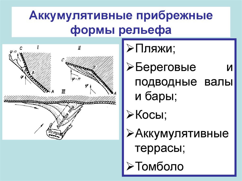 Типы береговых линий