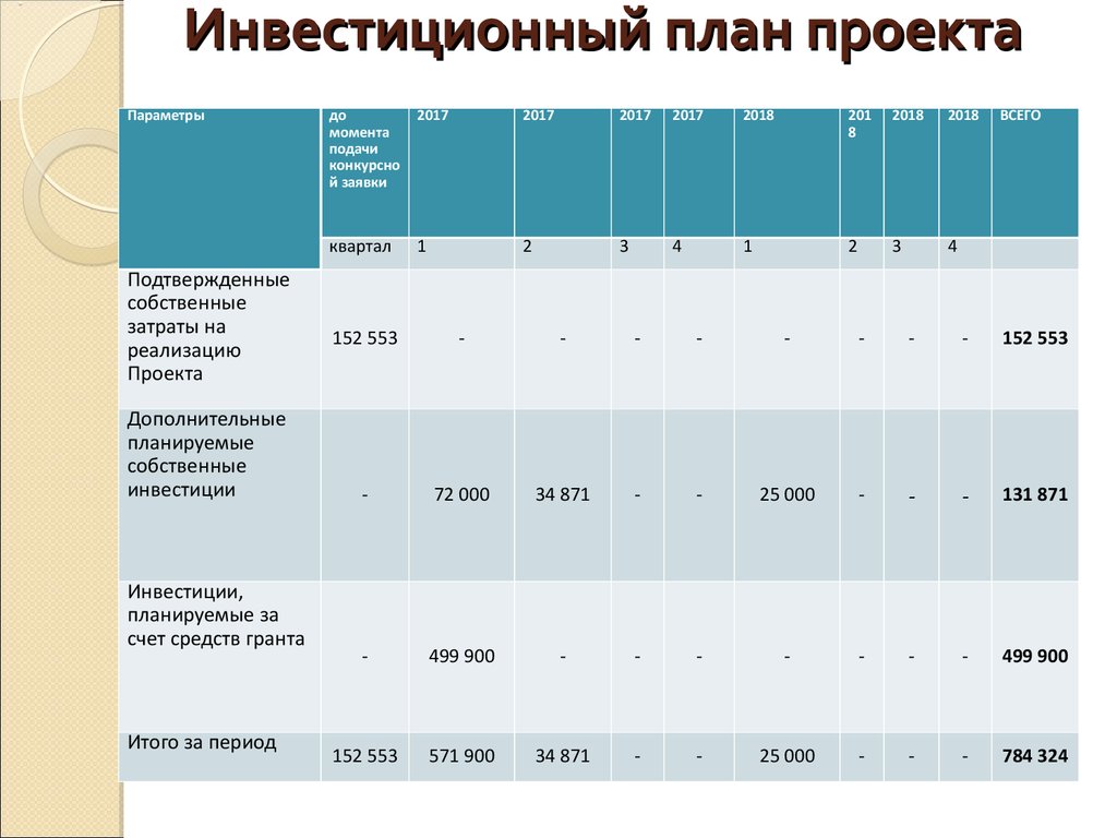 Проект для инвестиций пример