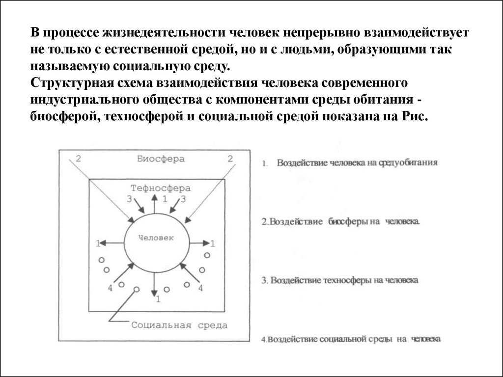 Элементы схемы взаимодействия человека со средой обитания