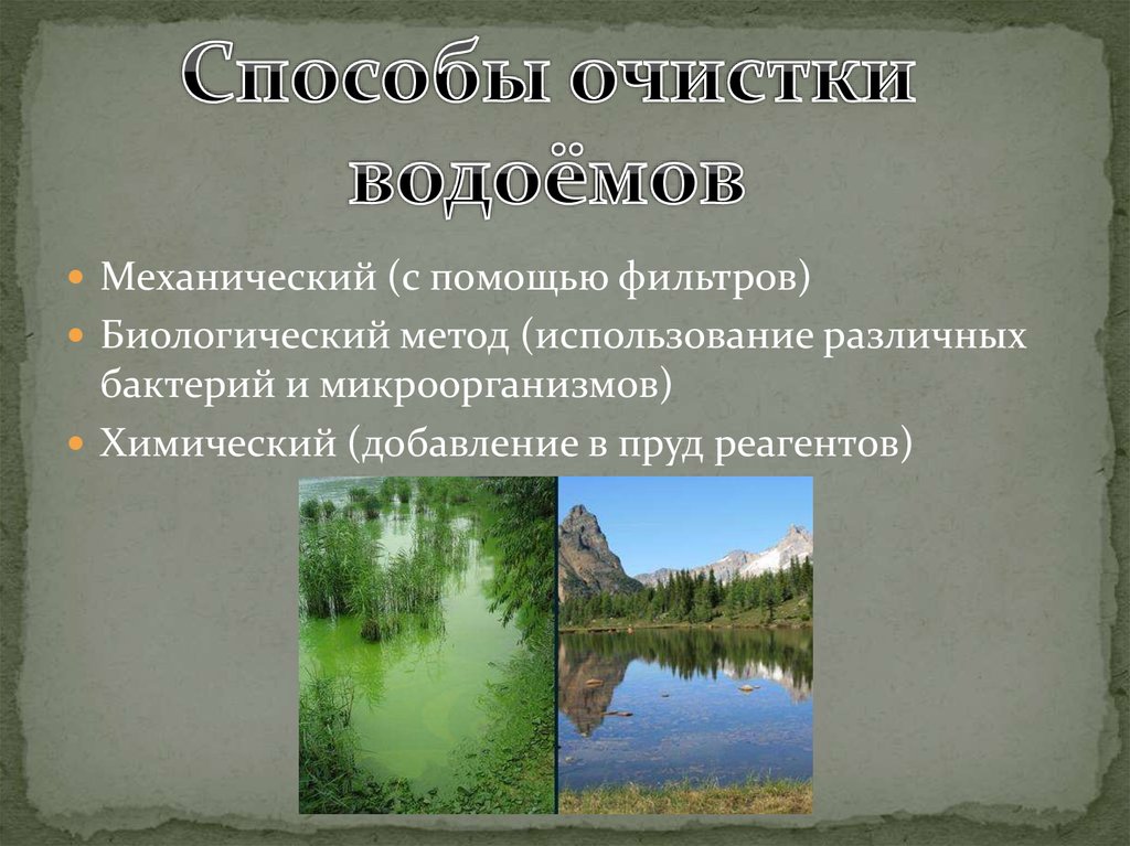 На рисунке показано что в процессе эвтрофикации в водоеме может произойти