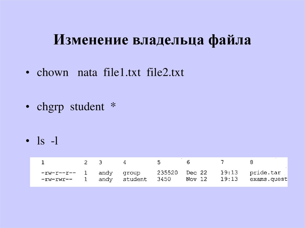 Имя владельца файла. Владелец файла. Изменение владельца.