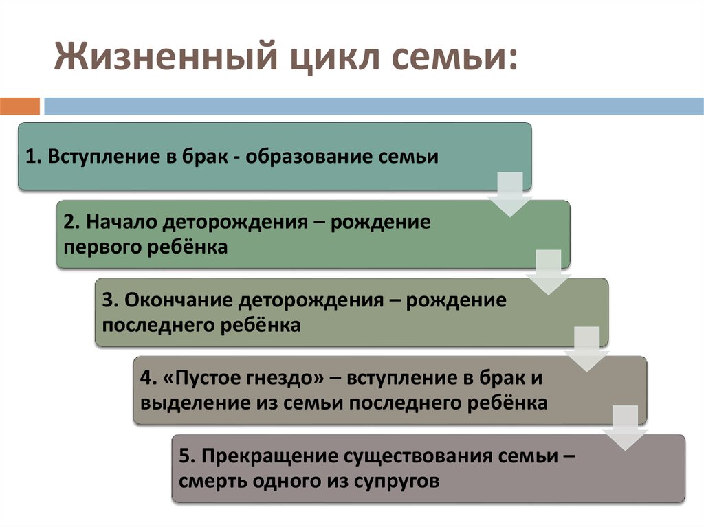 Жизненный цикл семьи схема