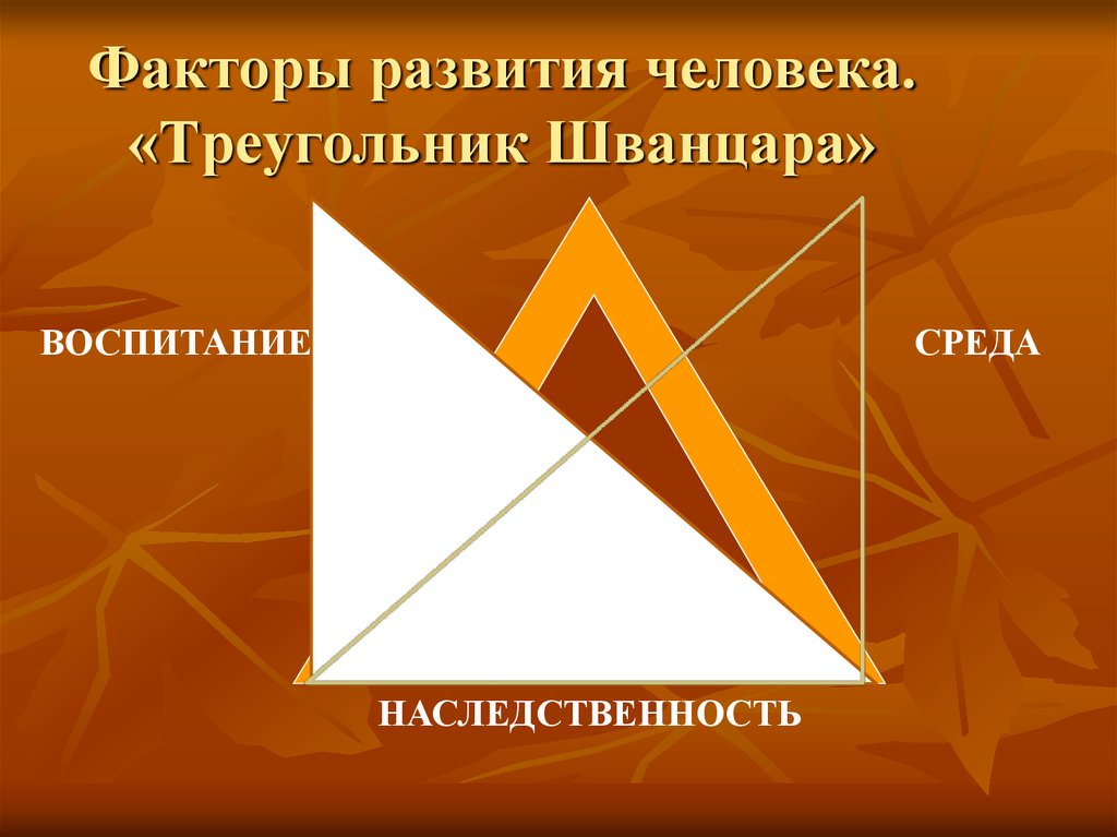 Факторы развития человека. «Треугольник Шванцара»