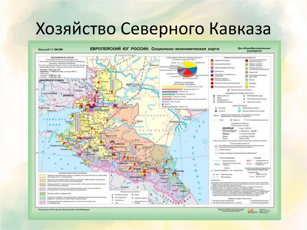 Хозяйство отрасли специализации северного кавказа