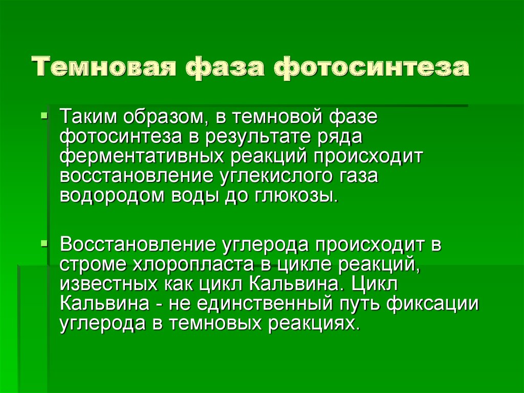 В темновую фазу фотосинтеза происходит выделение кислорода