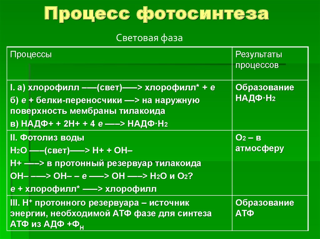 Фотолиз синтез газа. Схема реакции фотосинтеза условие. Процесс протекания фотосинтеза. Процессы и фазы фотосинтеза. Общая схема реакций Темновой фазы фотосинтеза.