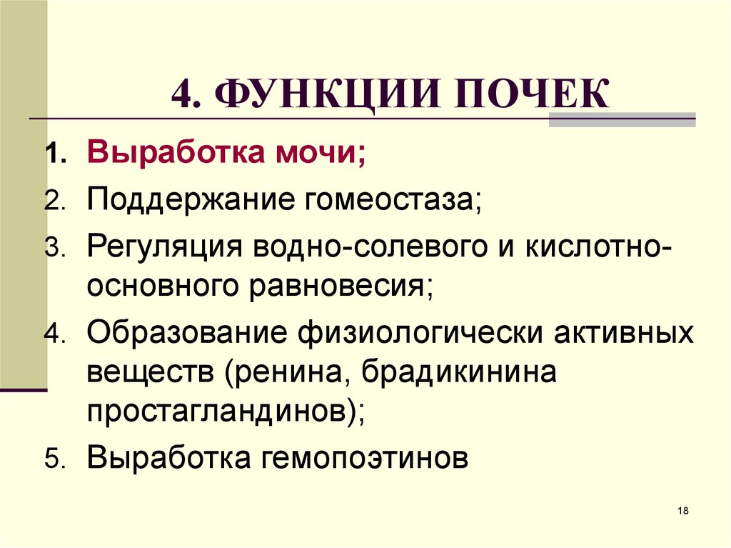 Функция 15. Функции почек. Все функции почек. Функции почек в поддержании гомеостаза. 5 Функций почек.