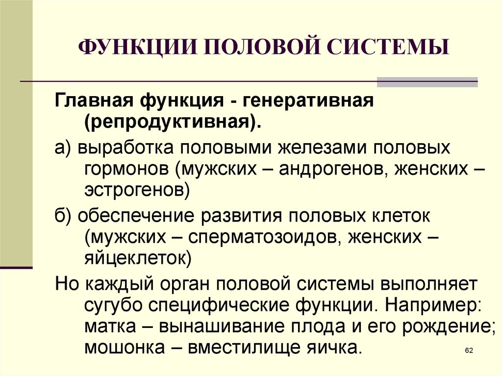 Репродуктивная система человека 8 класс биология презентация