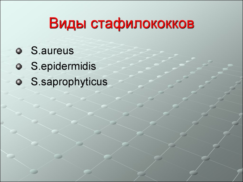 Стафилококк виды. Staphylococcus виды. Стафилококки виды стафилококков. Какие виды стафилококков вы знаете?.