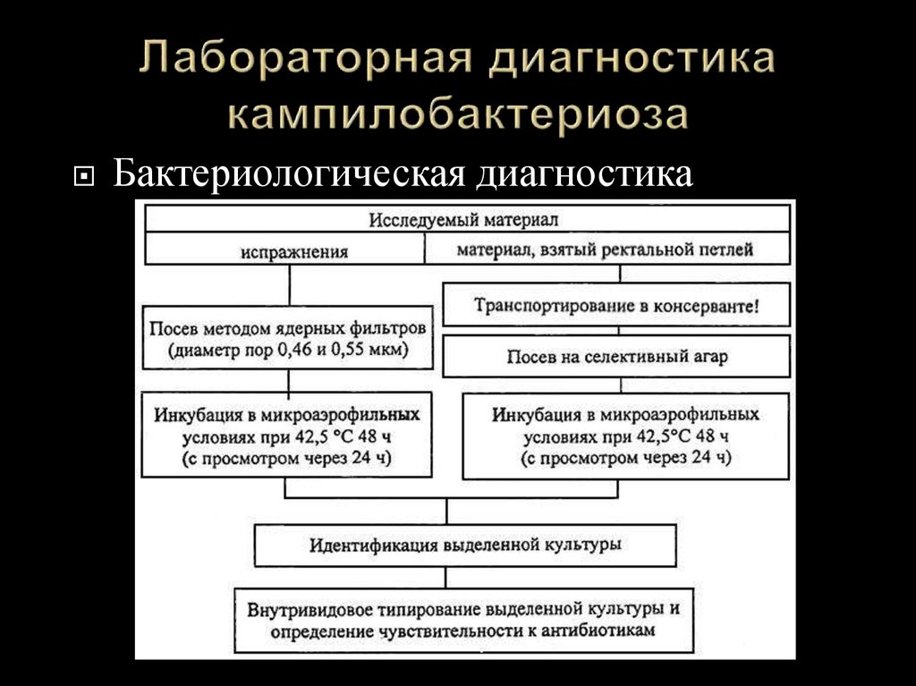 Практическая диагностика. Кампилобактерии методы микробиологической диагностики. Методы лабораторной диагностики кампилобактериоза:. Бактериологический метод исследования кампилобактерий. Лабораторная диагностика кампилобактериоза схема.