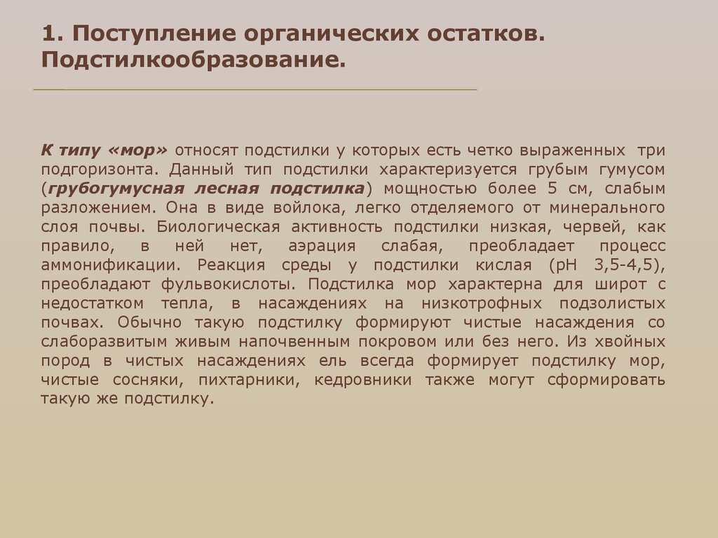 Тип мор. Подстилкообразование почвы. Подстилкообразование условия. Достоинства чистых древостоев. Поступить на органика.