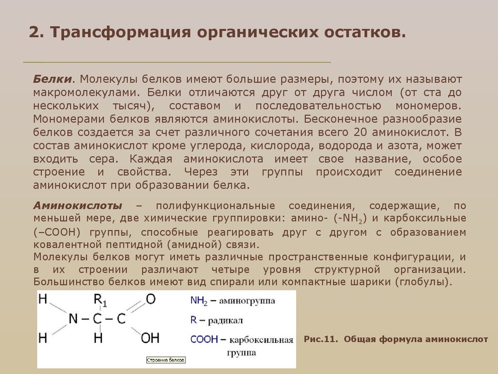 Превращение органических веществ в неорганические