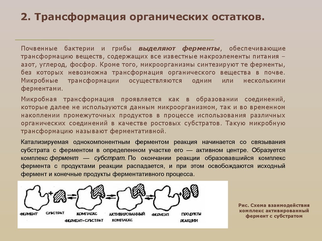 Преобразованием называется. Органических остатков. Процессы превращения органических остатков в почве. Процессам трансформации органических веществ в почве. Преобразование органического вещества.