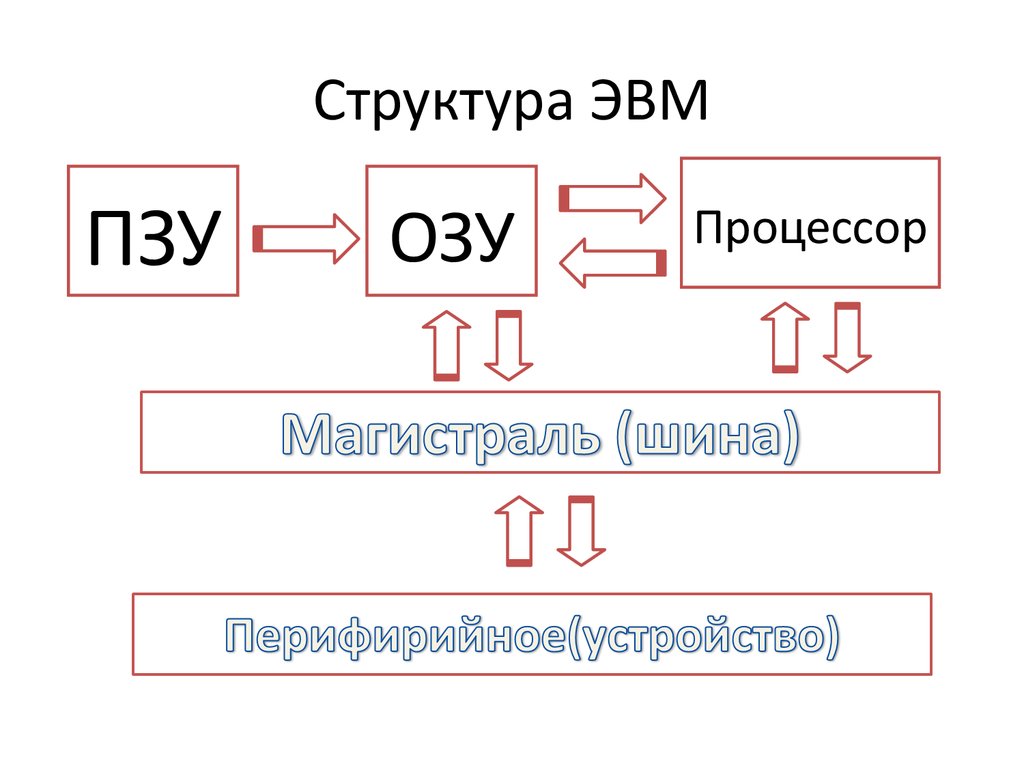 Структура эвм