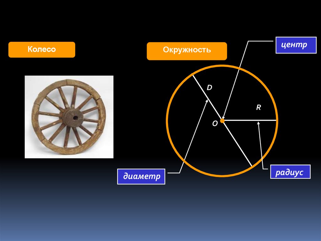 Колесо круг или окружность. Окружность колеса. Диаметр окружности колеса. Окружность и круг колесо. Окружность колеса 17 радиус.