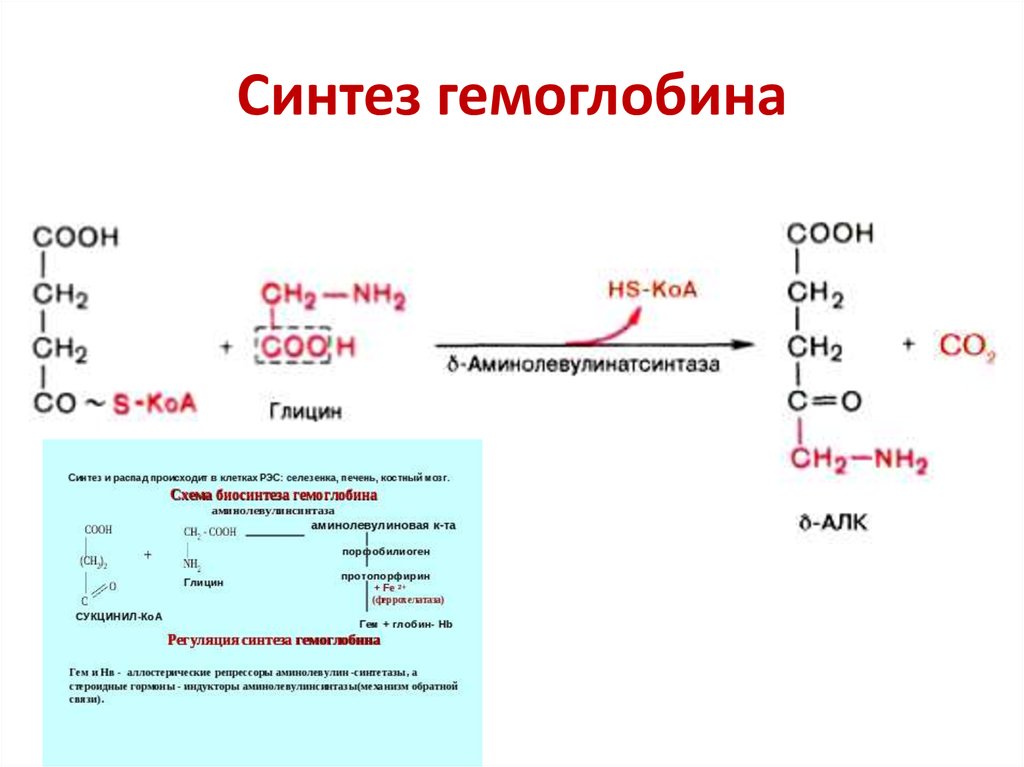 Синтез какого вещества. Синтез гемоглобина биохимия схема. Реакция образования гемоглобина. Схему реакций биосинтеза гема и гемоглобина. Элементы синергисты в процессе синтеза гемоглобина.