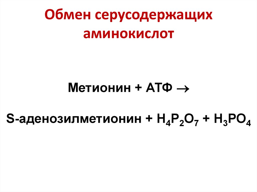 ) Метионин + АТФ=S-аденозилметионин. Классификация аминокислот. Серусодержащие аминокислоты. Классификация Аминов. Какой признак положен в основу классификации аминов