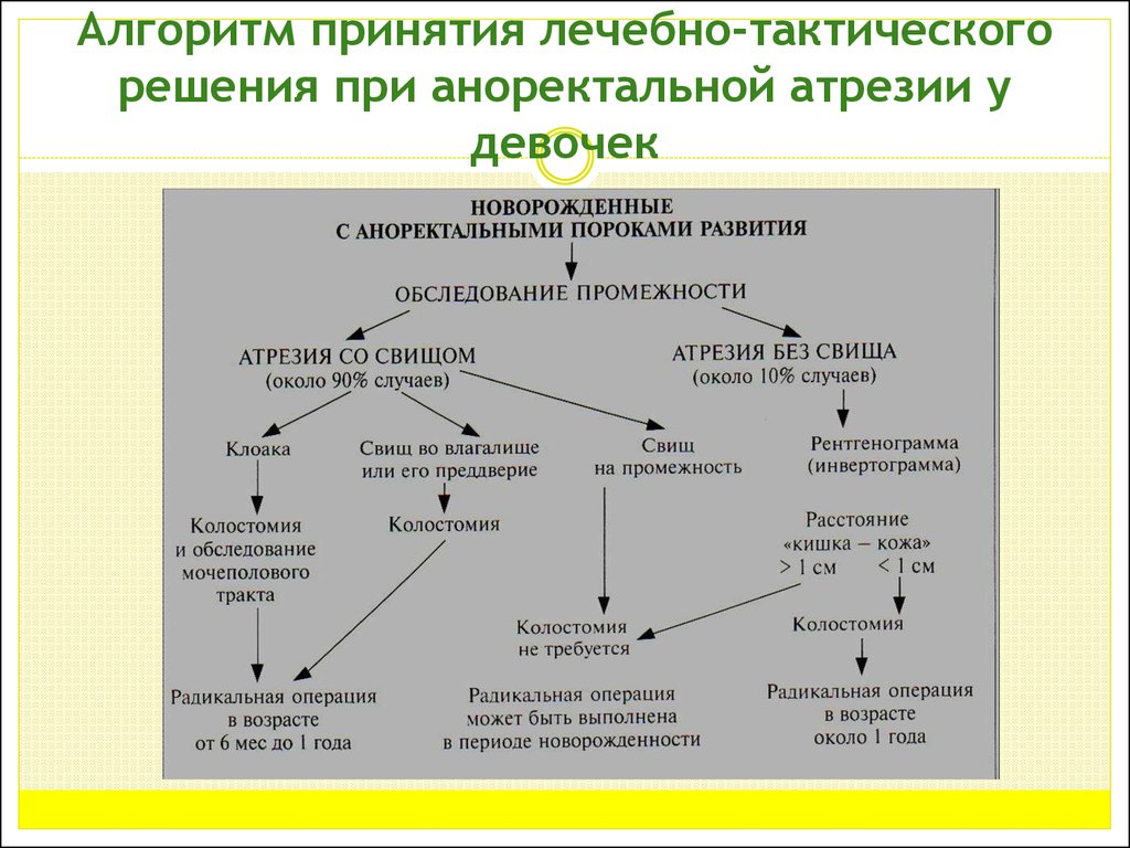 Алгоритм утверждение. Алгоритм принятия решений в тактике. Утверждения об алгоритмах. Методика инвертографии у детей. Инвертография по Вангенстину.