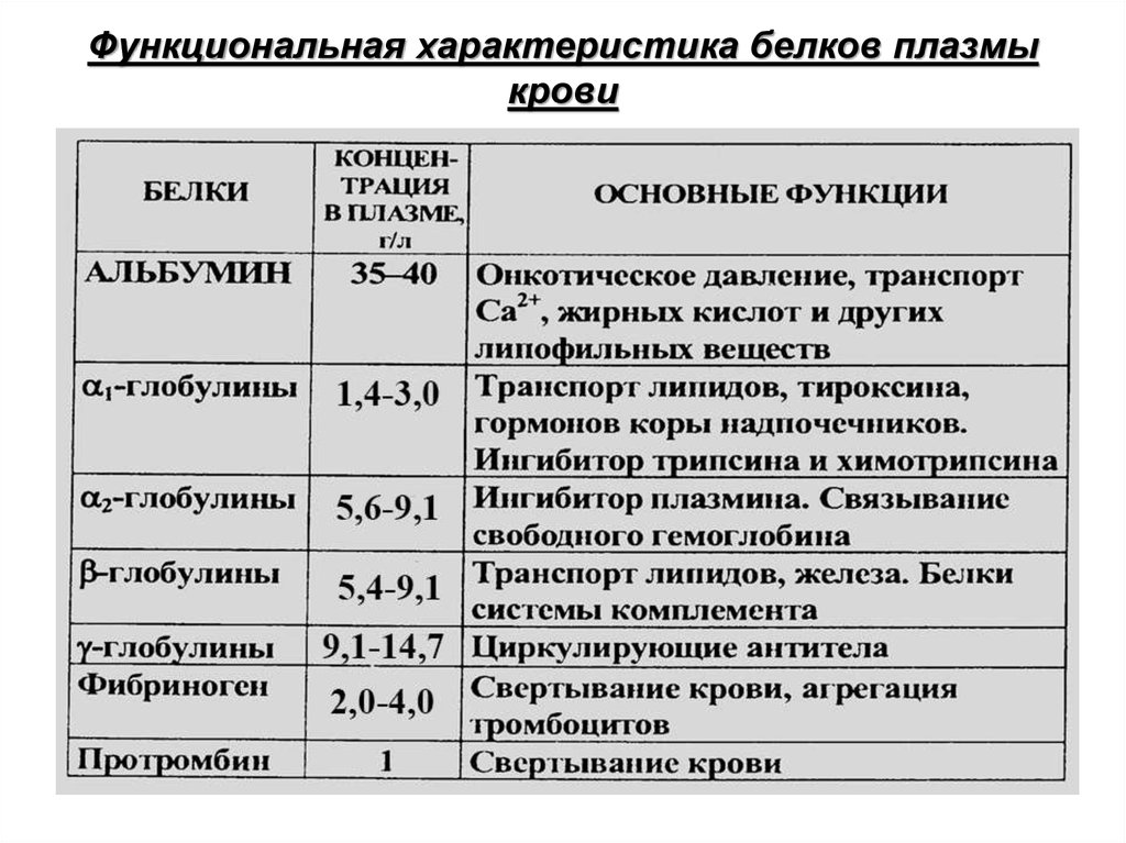 Функциональная величина. Важнейшие белки плазмы крови и их функции таблица. Белки плазмы крови характеристика. Белки плазмы крови биохимия таблица. Функции белковых фракций крови.