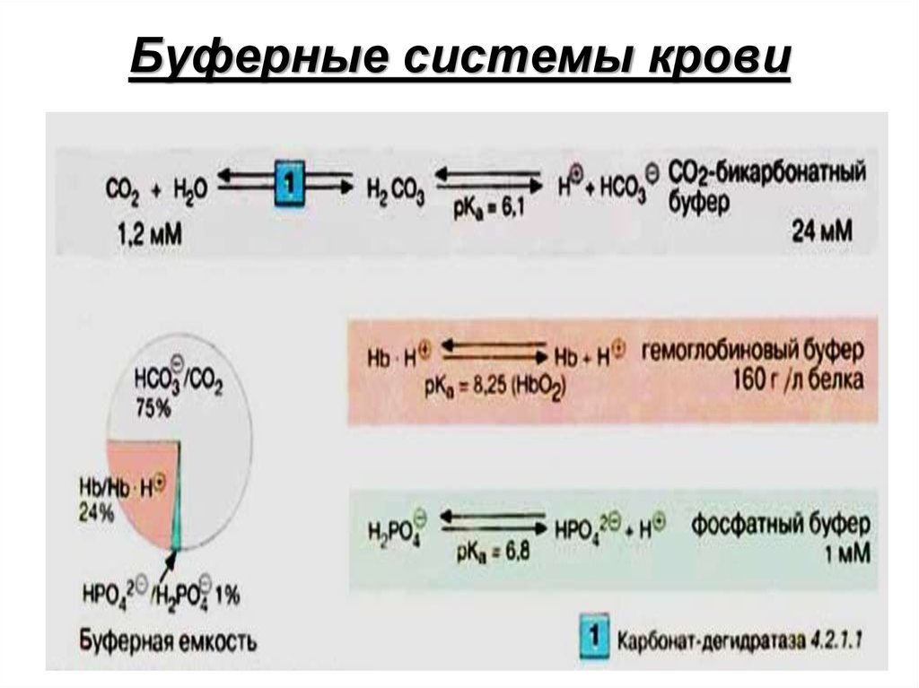 Бикарбонатная буферная система схема - 96 фото