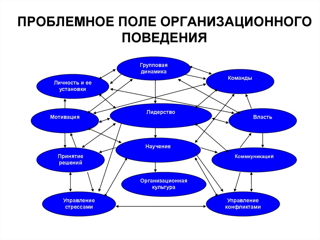 Система организационного поведения. Проблемное поле организации. Проблемное поле организационного поведения. Проблемное поле исследования это. Структуризация проблемного поля.