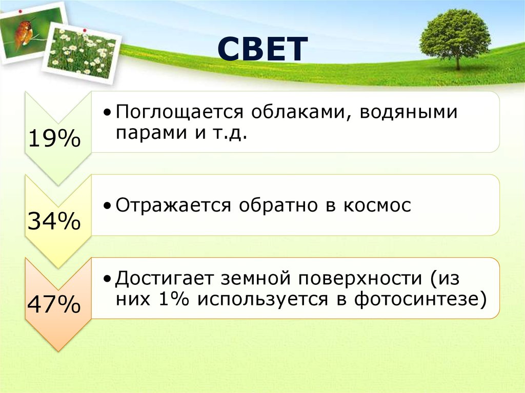 Фактор 19. «Поглощается» сбером. Сколько процентов ср поглощается водой и пашней?.