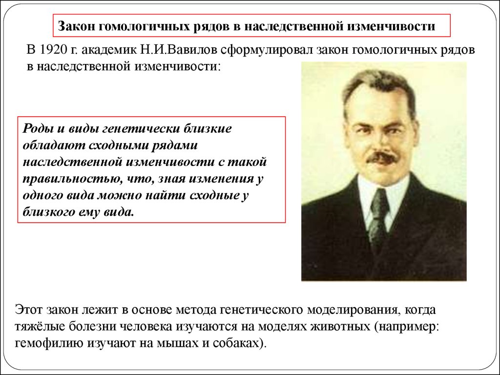 Закон гомологических рядов. Закон гомологических рядов Вавилова. Закон гомологических рядов наследственной изменчивости н.и Вавилова. Закон гомологических рядов наследственной изменчивости. Закон Вавилова о гомологических рядах наследственной изменчивости.