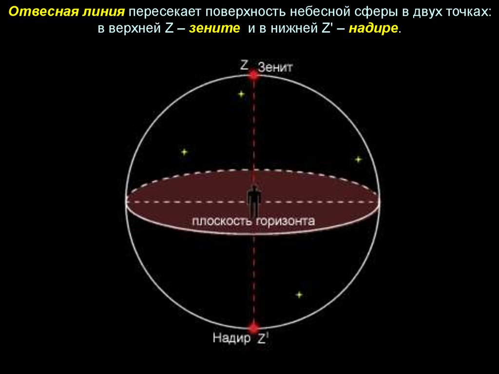 Зенит это астрономия. Надир точка небесной сферы. Зенит и Надир в астрономии. Зенит и Надир отвесная линия в астрономии. Отвесная линия на небесной сфере.