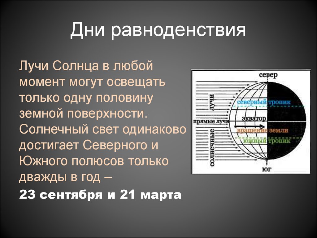 Дважды в год солнце в зените. День равноденствия. День солнечного равноденствия. Земля в дни равноденствия. Даты равноденствия.