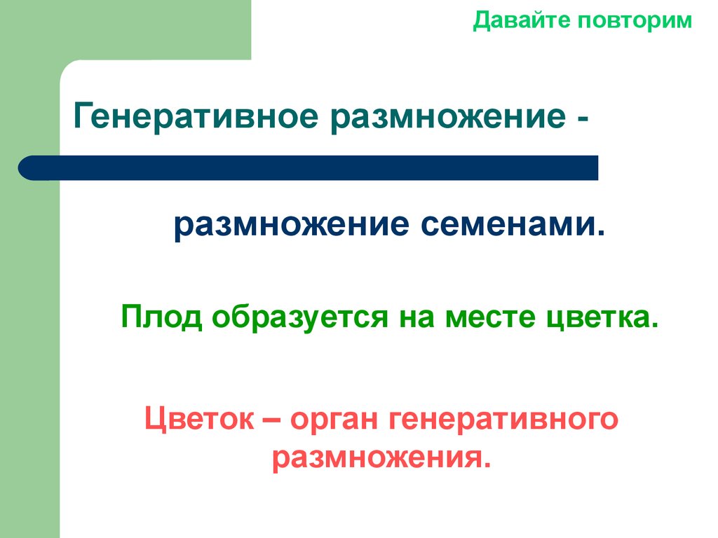 Оплодотворение у цветковых растений презентация 6 класс