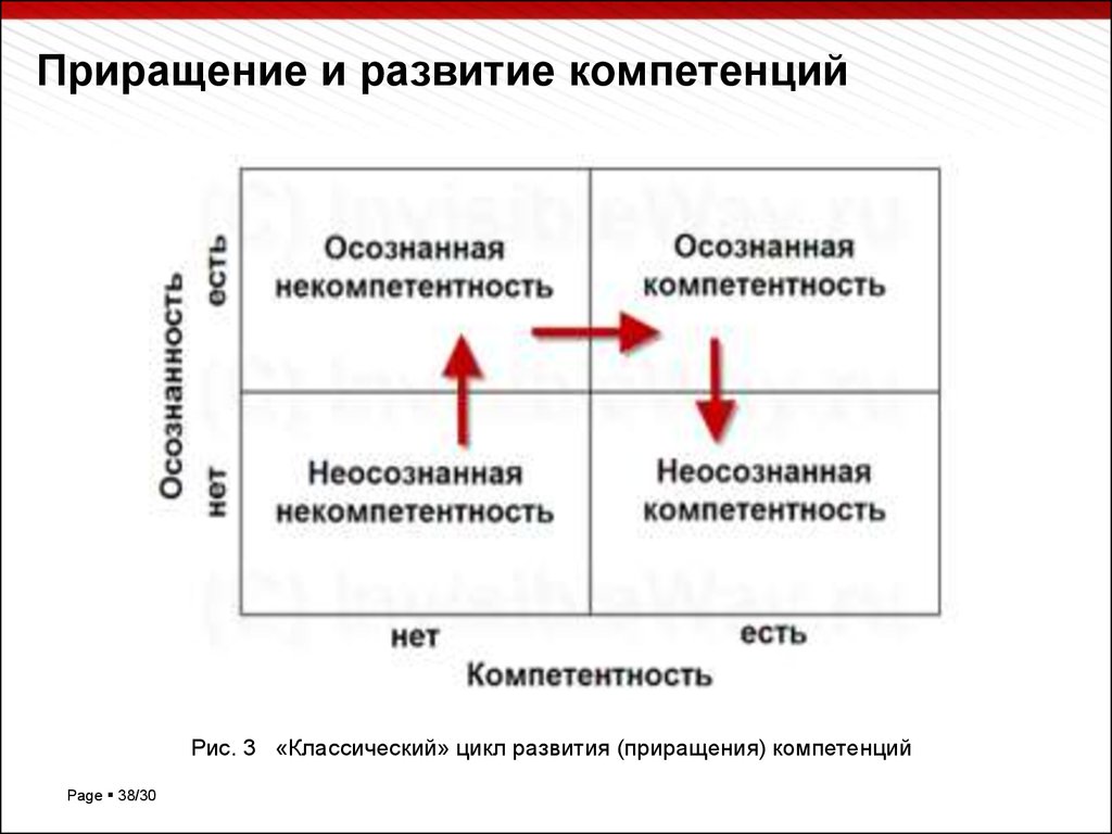 Формирование и развитие компетенций. Классический цикл развития компетентности. Этапы развития компетентности. Стадии развития компетентности. Этапы формирования компетенций.