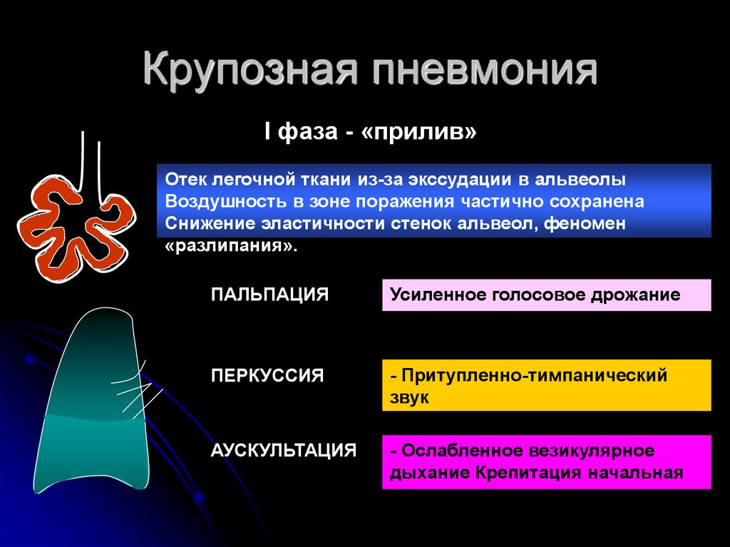 Аускультативная картина при пневмонии