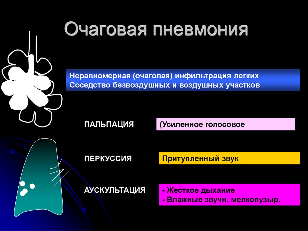 Наиболее возможная аускультативная картина легких при очаговой пневмонии