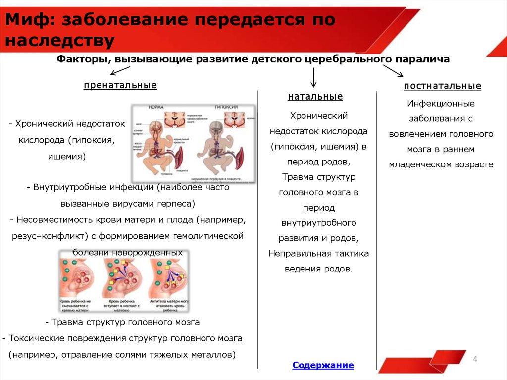 Дцп передается по наследству