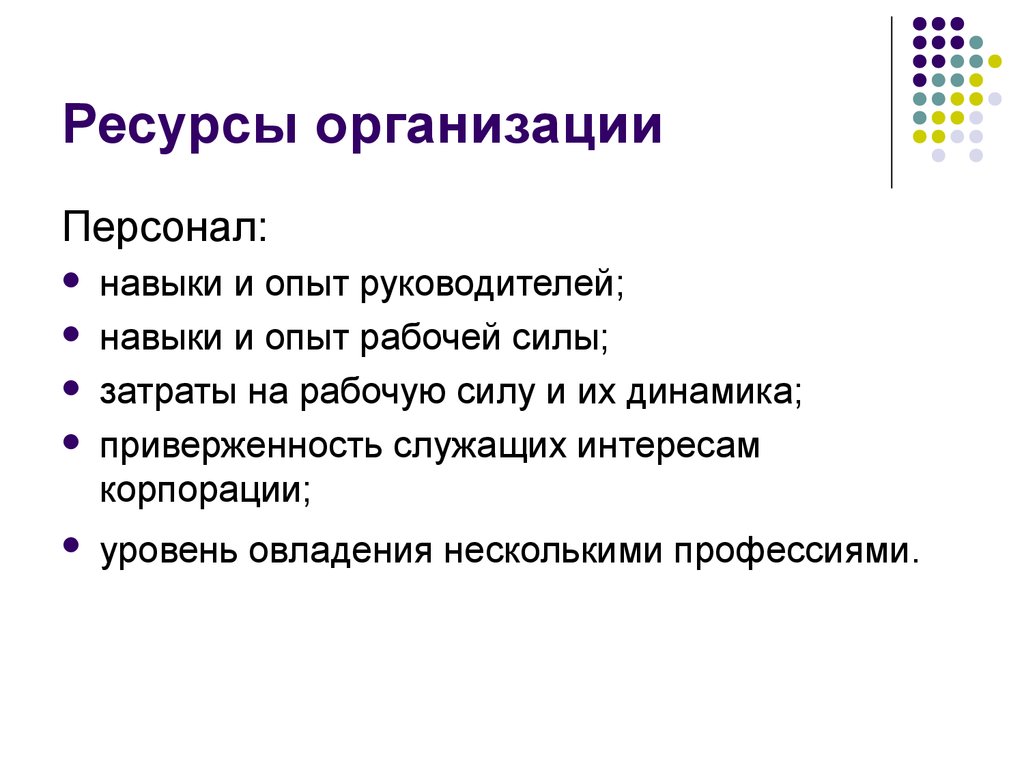 Внутренние ресурсы компании. Навыки и опыт. Опыт руководителя проекта. Навыки руководителя проекта. Ресурсы компании.