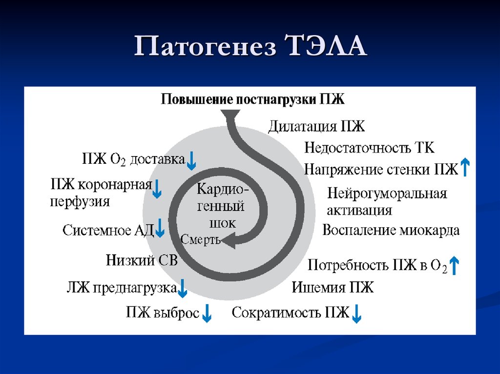 Тромбоэмболия легочной артерии презентация патофизиология