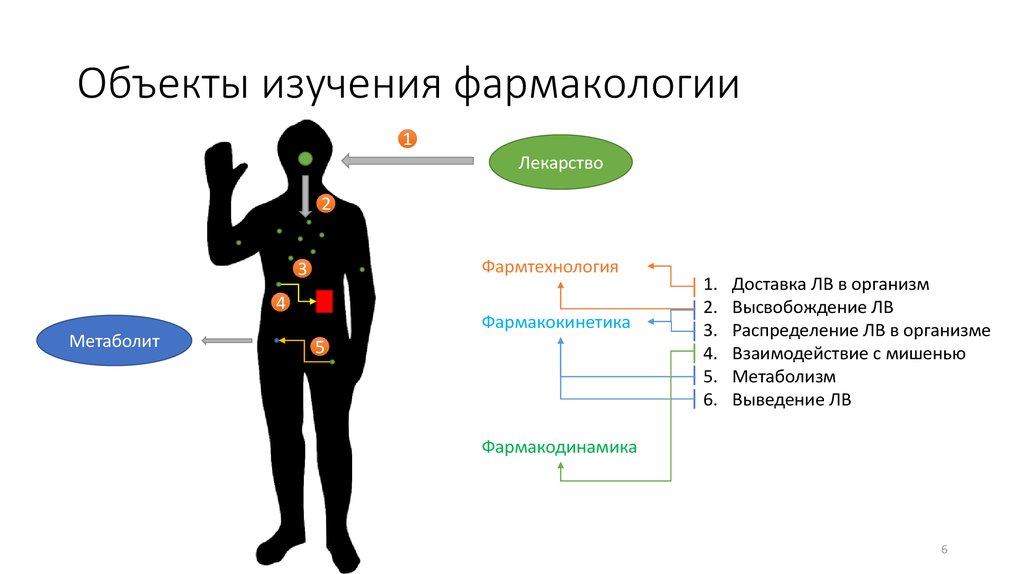 Практическое занятие фармакология