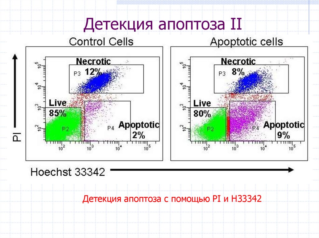 Детекция что это. Методы детекции апоптоза. Детекция. Остановка клеточного цикла и запуск апоптоза. Fat apoptosis отзывы.