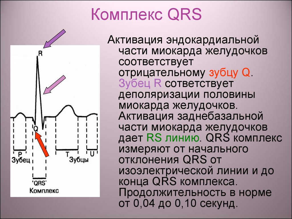 Qrs на экг что это. Нормальная Продолжительность комплекса QRS. Комплекс QRS электрокардиограммы соответствует:. Комплекс зубцов QRS на ЭКГ. Комплекс QRS отражает процесс:.