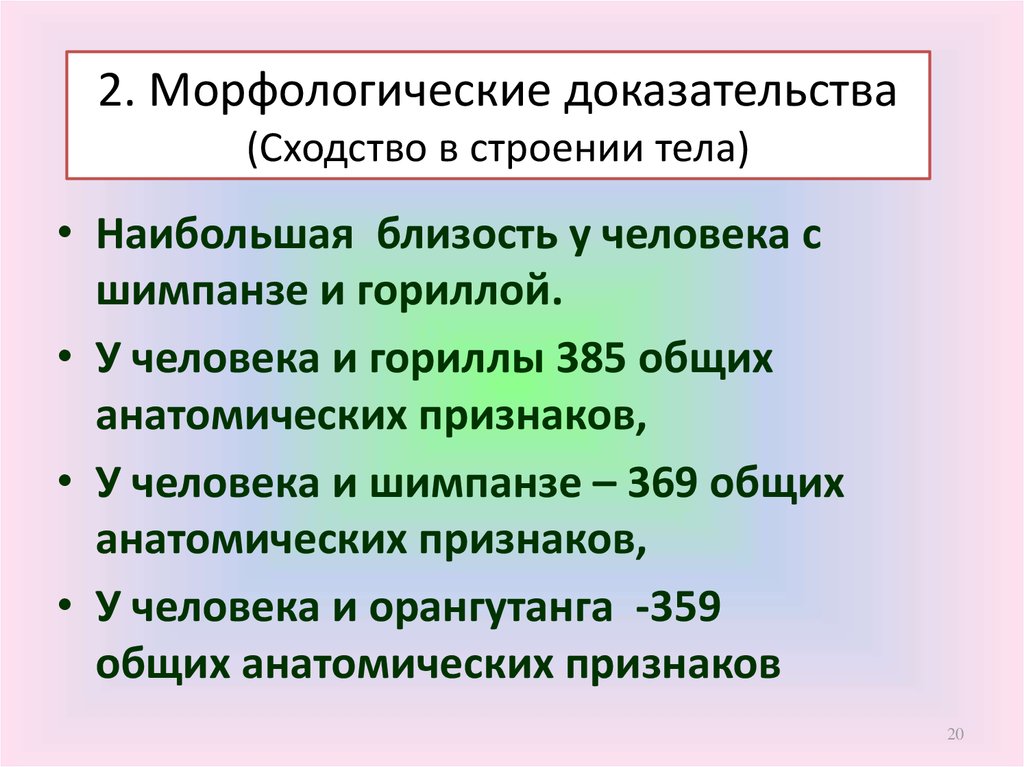 Различие человека и личности