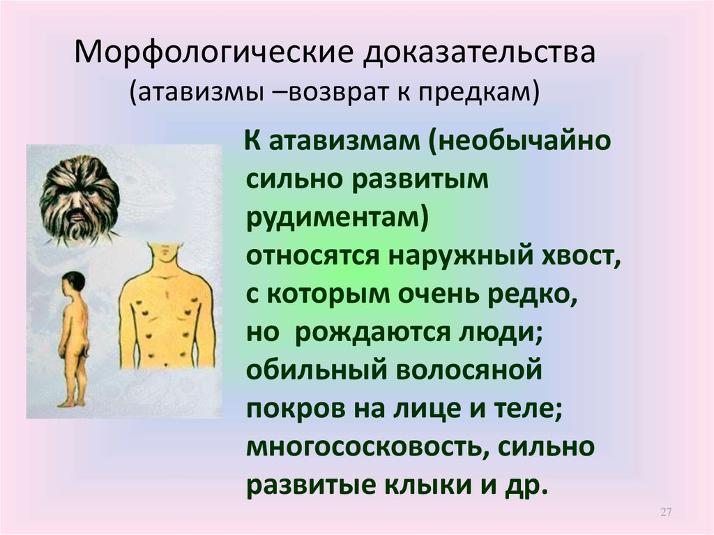 Доказательства атавизмов. Атавизмы и рудименты человека. Рудименты и атавизмы примеры. Рудименты и атавизмы доказательства эволюции. Рудименты и атавизмы у человека таблица.