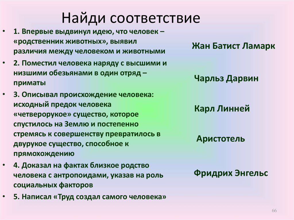 Выявить различия. Найди соответствие. Найдите соответствие впервые выдвинул идею что человек. Поместил человека наряду с высшими и низшими обезьянами в один отряд.